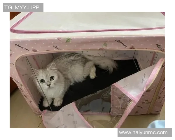 掌握踢足球的脚法技巧提升球技的全面指南与实用训练方法分享 掌握踢足球的脚法技巧提升球技的全面指南与实用训练方法分享